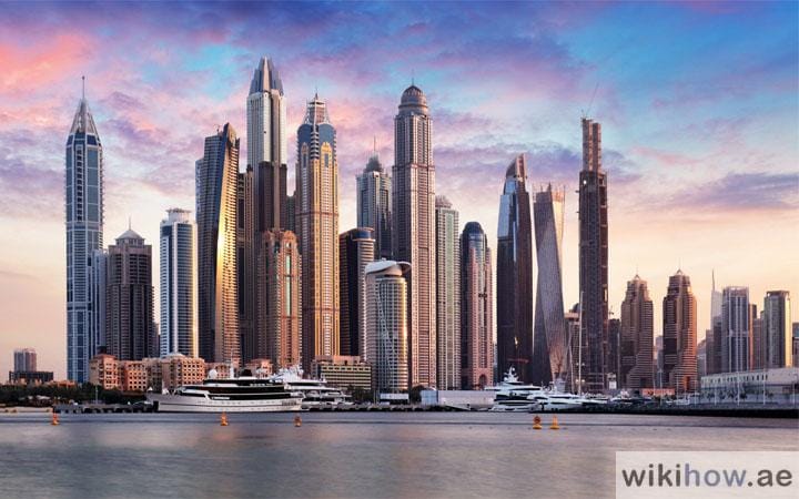 Understanding the UAE Economy