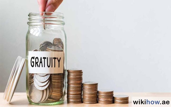 Key Factors Affecting Gratuity Amount for Domestic Workers