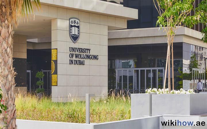 Master of Innovation and Entrepreneurship, University of Wollongong in Dubai