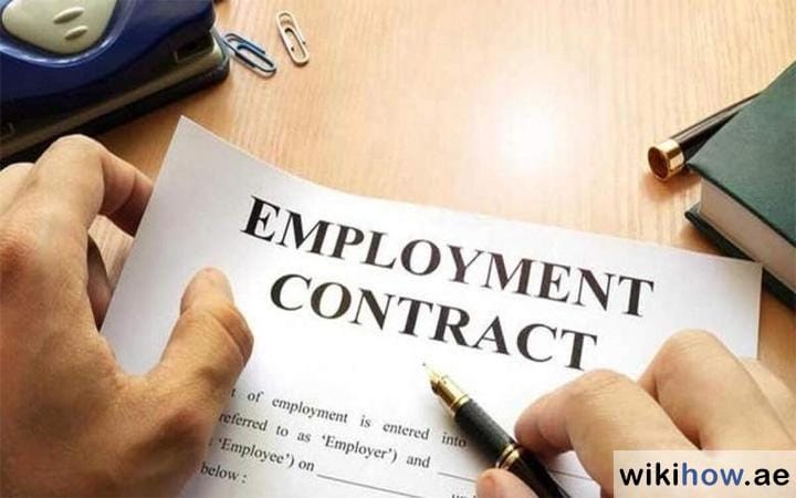 Labour Contract Types in UAE