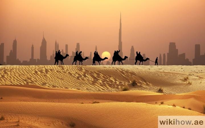 Bedouin Origins and Nomadic Traditions