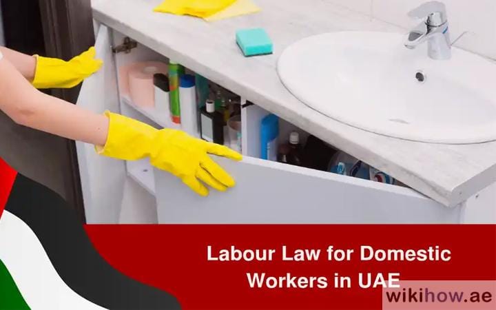 UAE Labour Law for Domestic Workers