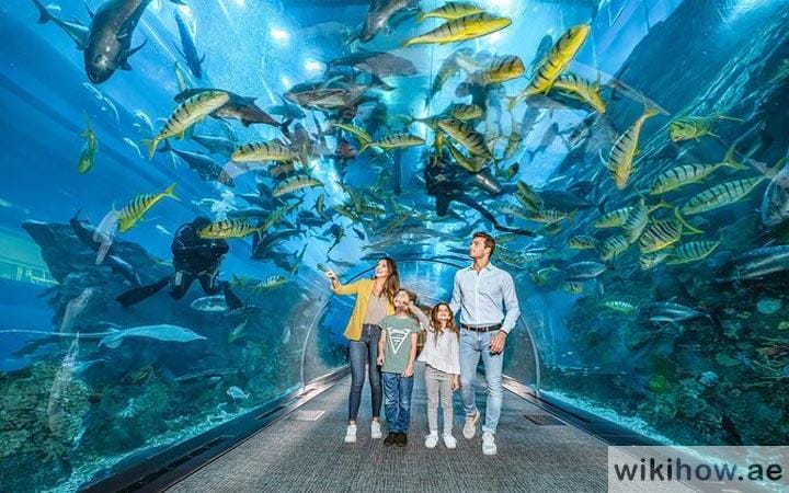 Dubai Aquarium and Underwater Zoo