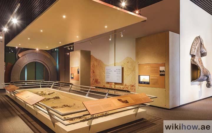 Sharjah Archaeology Museum